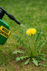 POSTEMERGENCE WEED CONTROL IN TURF