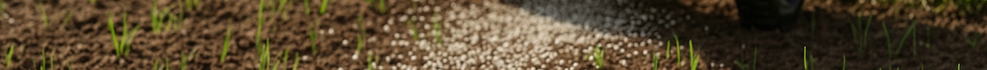 WHAT IS A STARTER FERTILIZER?