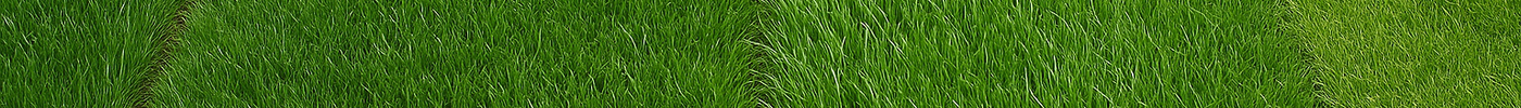 DO I NEED KENTUCKY BLUEGRASS, TALL FESCUE, RYEGRASS, OR FINE FESCUES?
