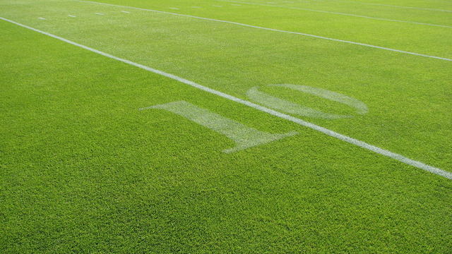 Perennial Ryegrass