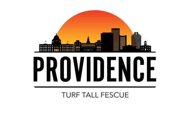 Providence Tall Fescue