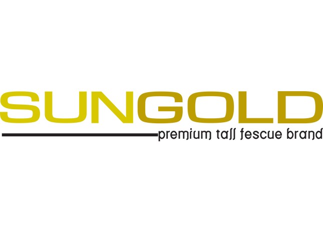 Sungold Tall Fescue Blend