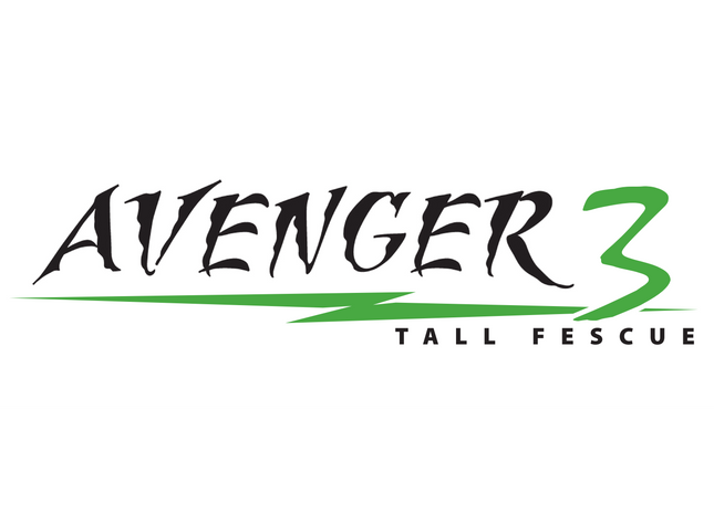Avenger III Tall Fescue