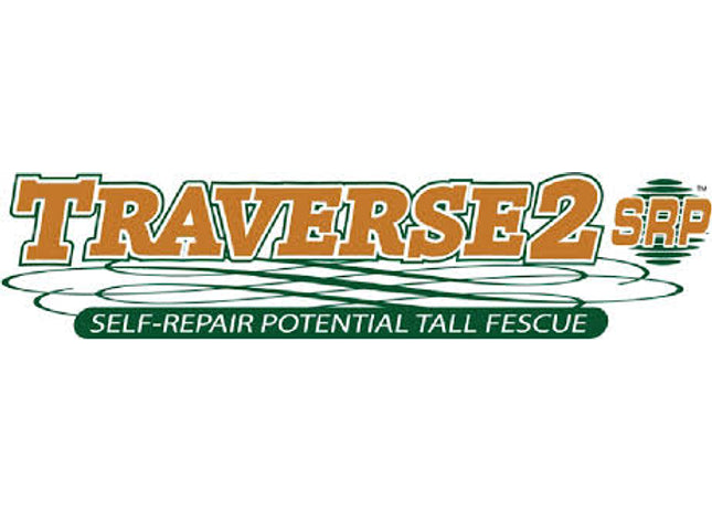 Traverse 2 SRP Tall Fescue