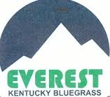 Everest Kentucky Bluegrass