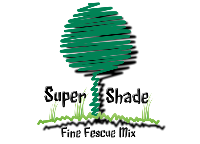 Super Shade Fine Fescue Blend