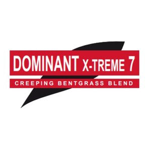 DOMINANT X-TREME 7 Creeping Bentgrass