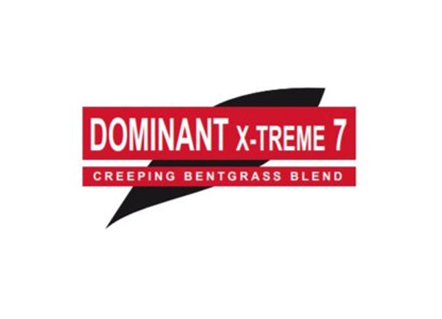 DOMINANT X-TREME 7 Creeping Bentgrass