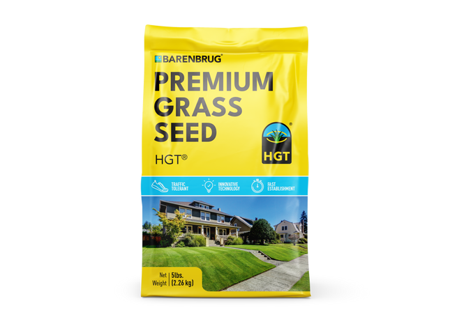 HGT Kentucky Bluegrass
