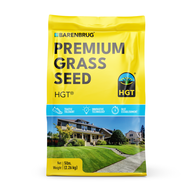 HGT Kentucky Bluegrass