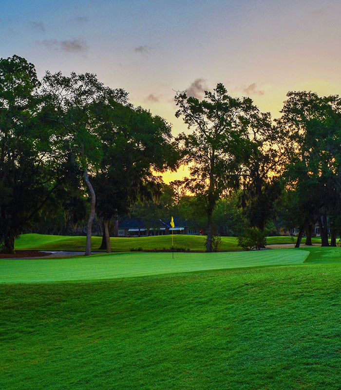 <h1>Customer Focused. Quality Driven</h1>