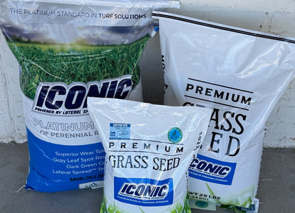 Iconic Perennial Ryegrass Blend