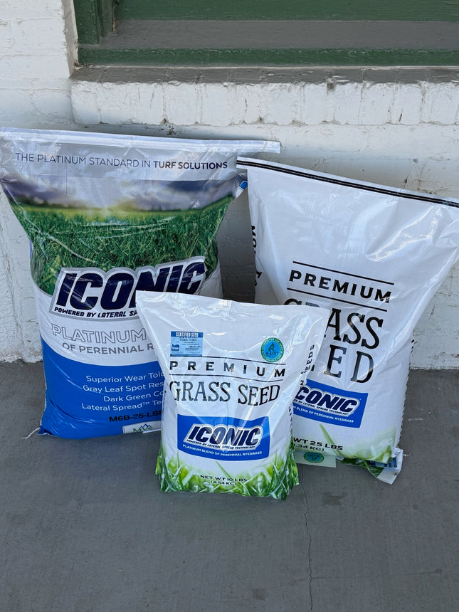 Iconic Perennial Ryegrass Blend