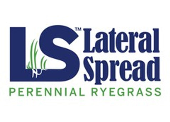 LS Perennial Ryegrass Blend