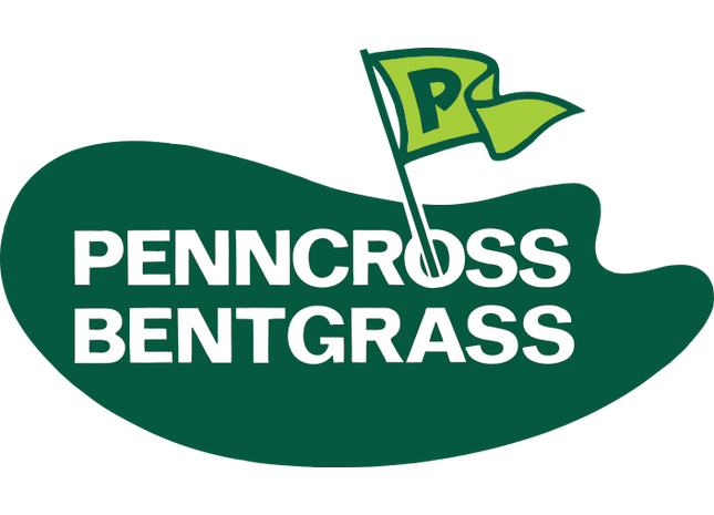 Penncross Creeping Bentgrass