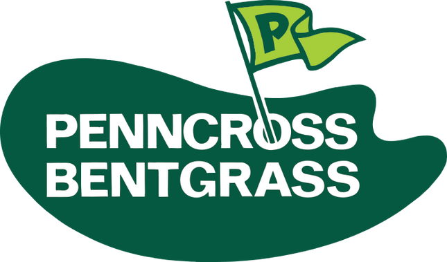 Penncross Creeping Bentgrass