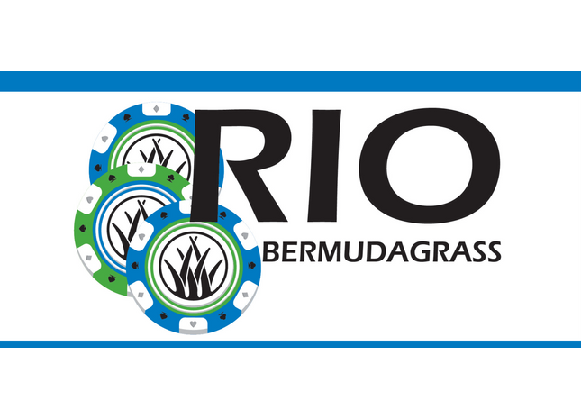 Rio Bermudagrass
