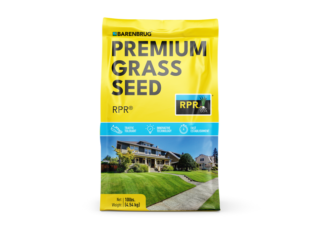 RPR Perennial Ryegrass