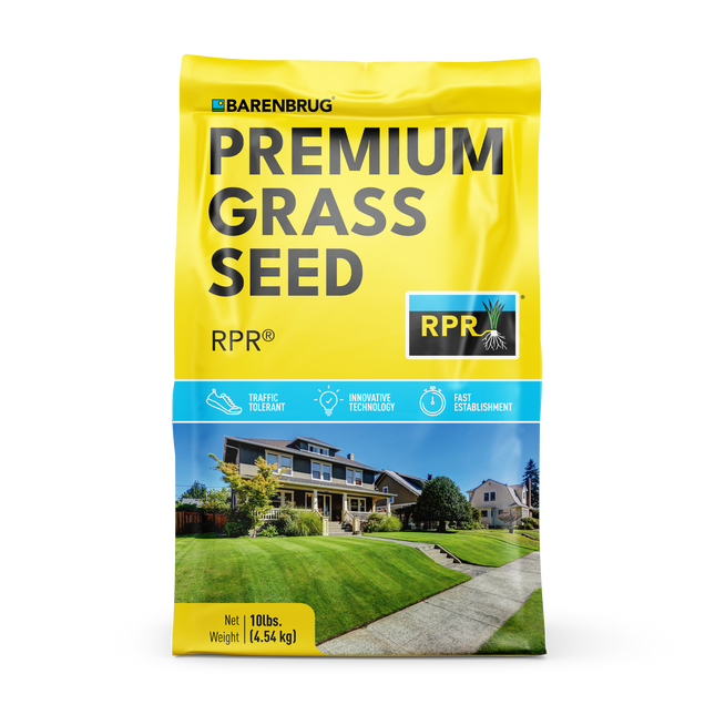 RPR Perennial Ryegrass