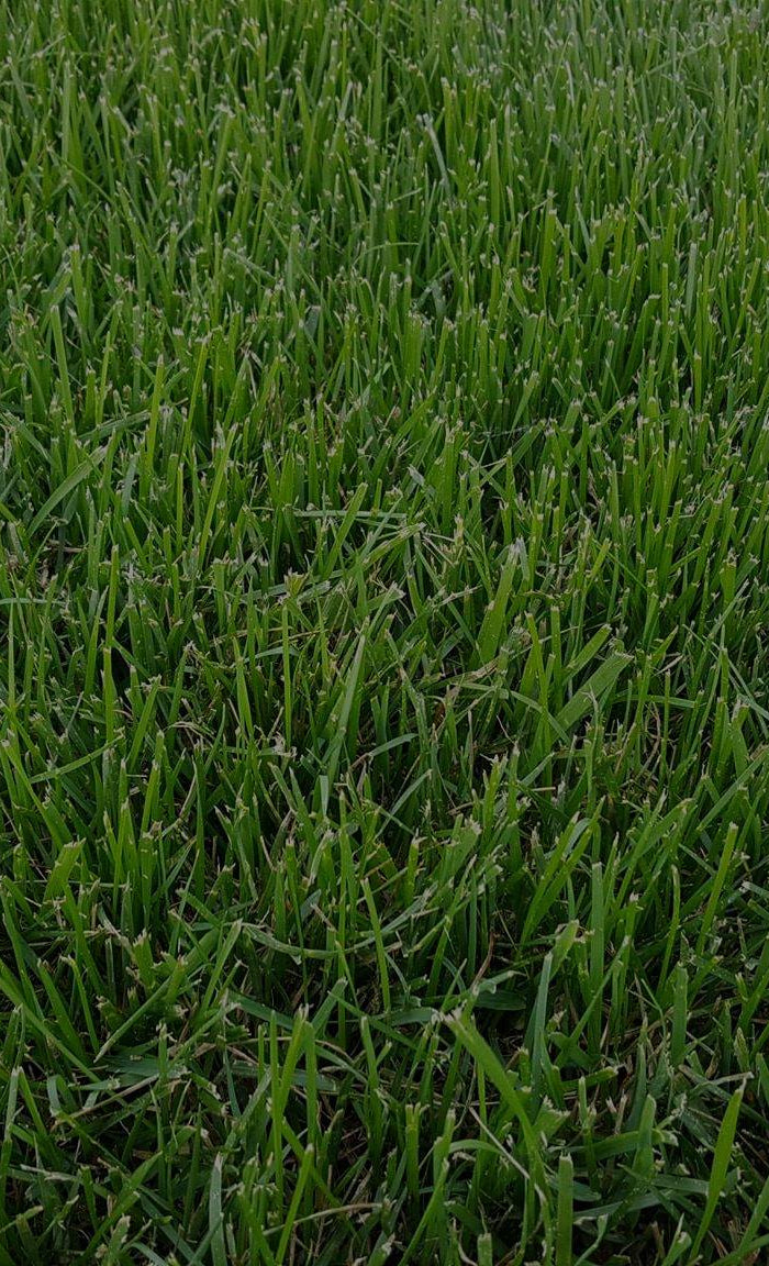 <h2>Better Research, Better Varieties</h2>