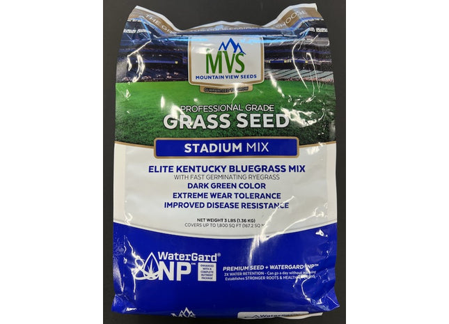 Kentucky Bluegrass United Seeds