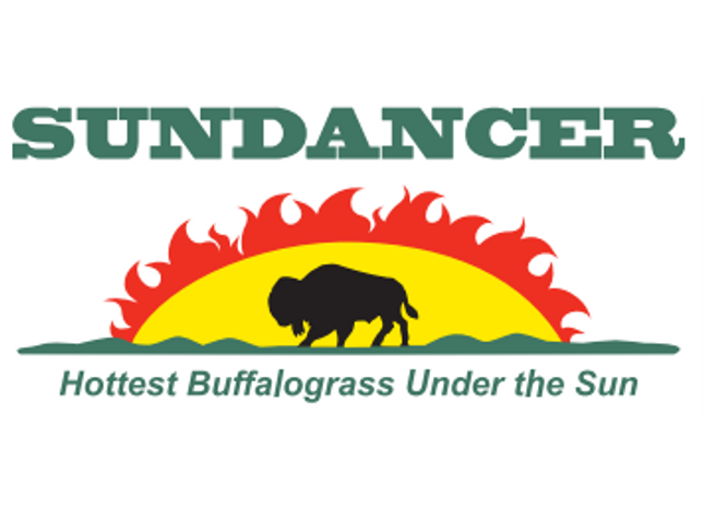 Sundancer Buffalograss (3 LB Bags)