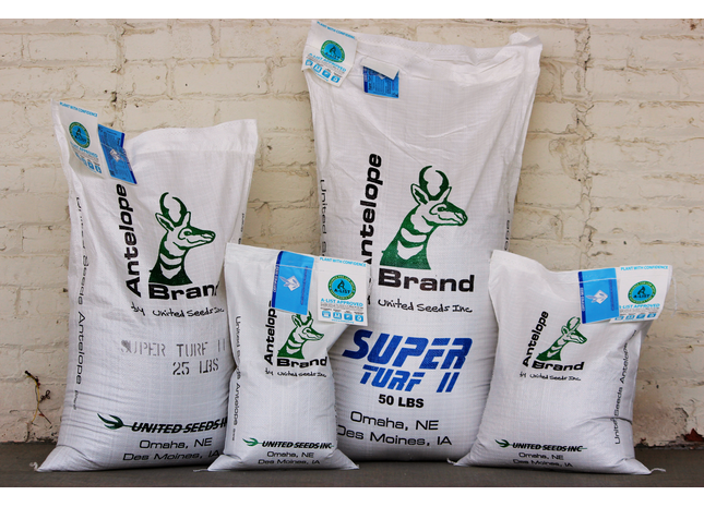 Super Turf II LS Tall Fescue-Bluegrass Blend
