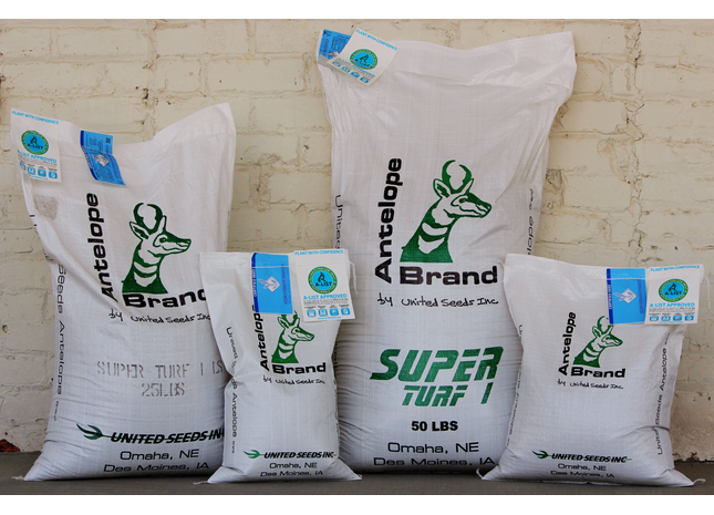 Super Turf I LS Tall Fescue Blend