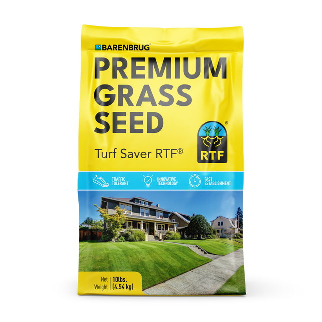 Turf Saver RTF Fescue