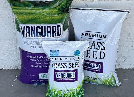 Vanguard Fine Fescue Blend