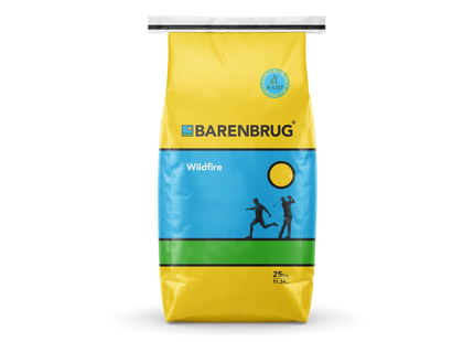 Wildfire Tall Fescue Blend