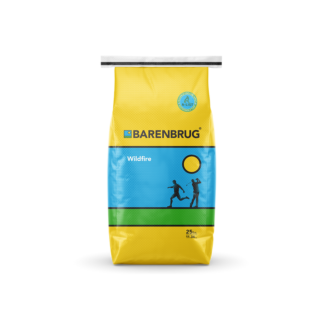 Wildfire Tall Fescue Blend