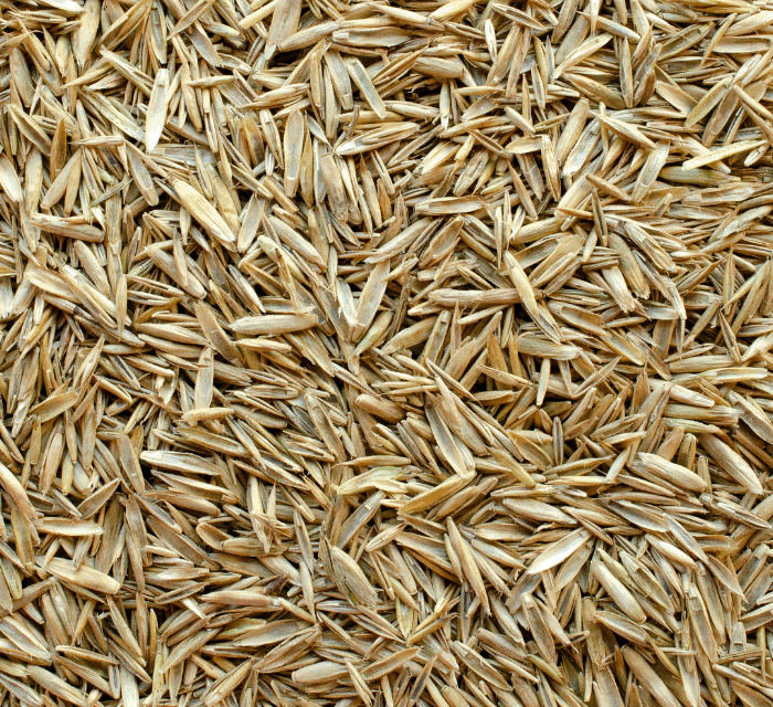 <h1>Want Wholesale Prices? Sign up as a Wholesaler today!</h1>