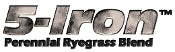 5-Iron Perennial Ryegrass Blend