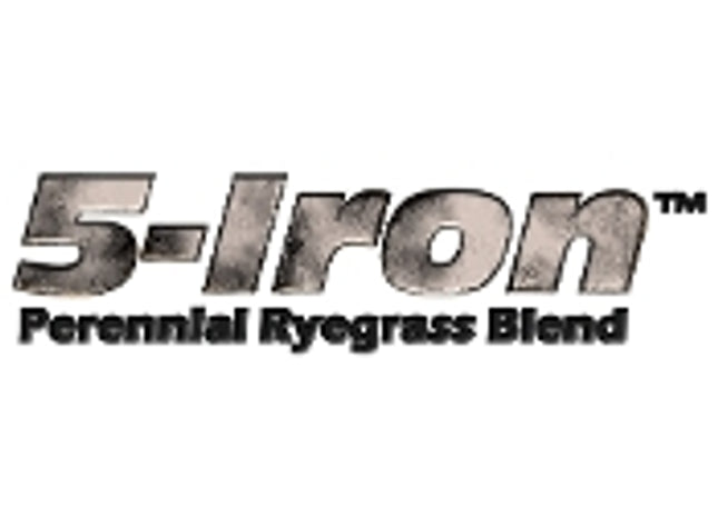 5-Iron Perennial Ryegrass Blend