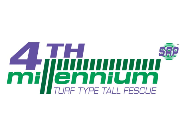 4th Millennium Tall Fescue