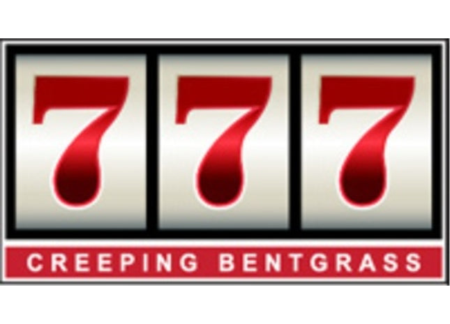 777 Creeping Bentgrass
