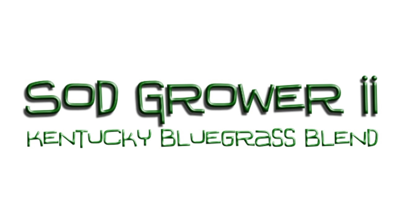 Sod Grower II Kentucky Bluegrass Blend – United Seeds
