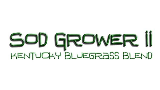 Sod Grower II Kentucky Bluegrass Blend