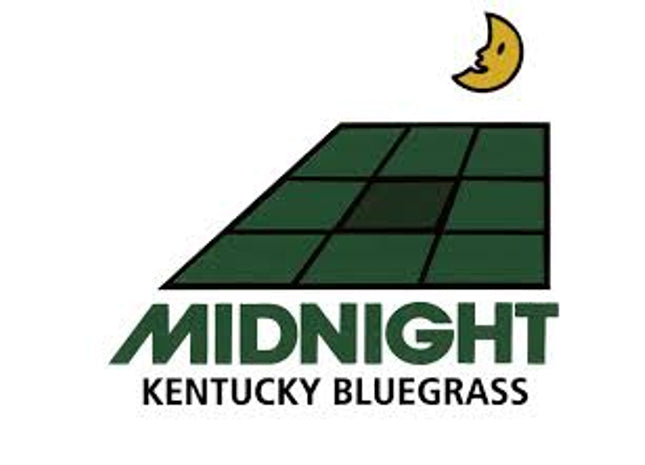Midnight Kentucky Bluegrass
