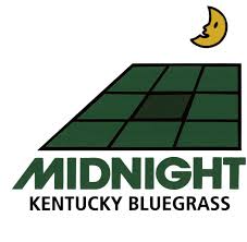 Midnight Kentucky Bluegrass