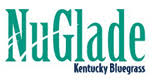 NuGlade Kentucky Bluegrass