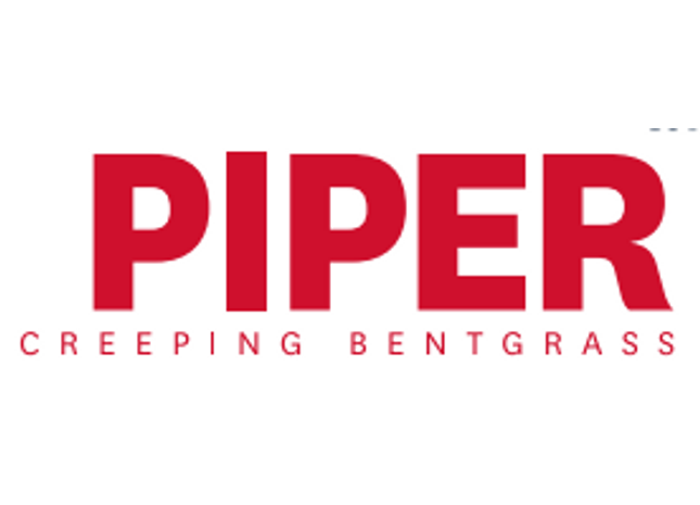 Piper Creeping Bentgrass