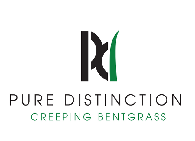 Pure Distinction Creeping Bentgrass