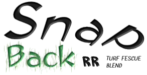 Snap Back Tall Fescue Blend