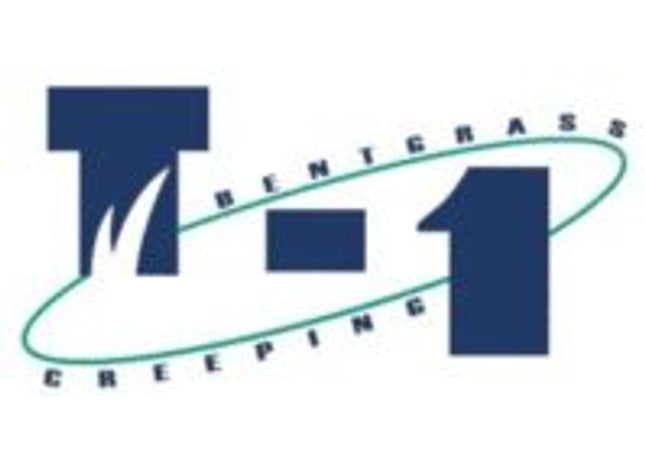 T1 Creeping Bentgrass