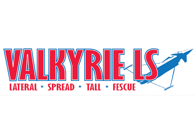 Valkyrie LS Tall Fescue