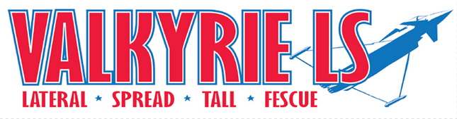 Valkyrie LS Tall Fescue