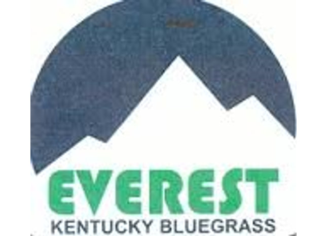 Everest Kentucky Bluegrass
