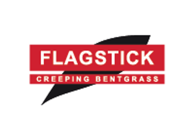 Flagstick Creeping Bentgrass